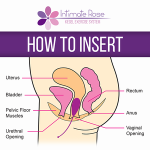 Intimate Rose Guide diagram 